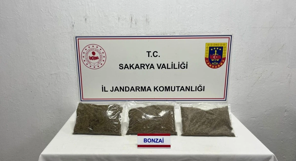 Jandarma uyuşturucuya geçit vermiyor: 1 tutuklama