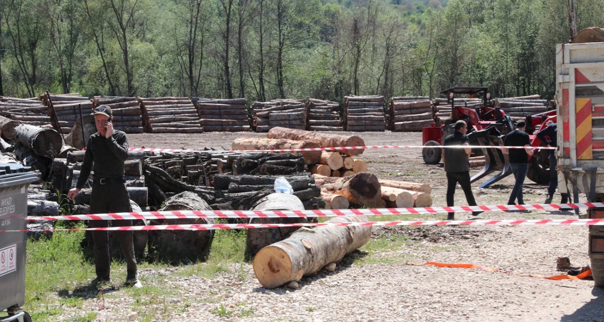 Tonlarca tomruk üzerine devrildi, hastanede hayatını kaybetti